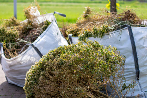 Best Property Management Cleanouts  in Reed City, MI